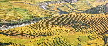 Sapa Tours